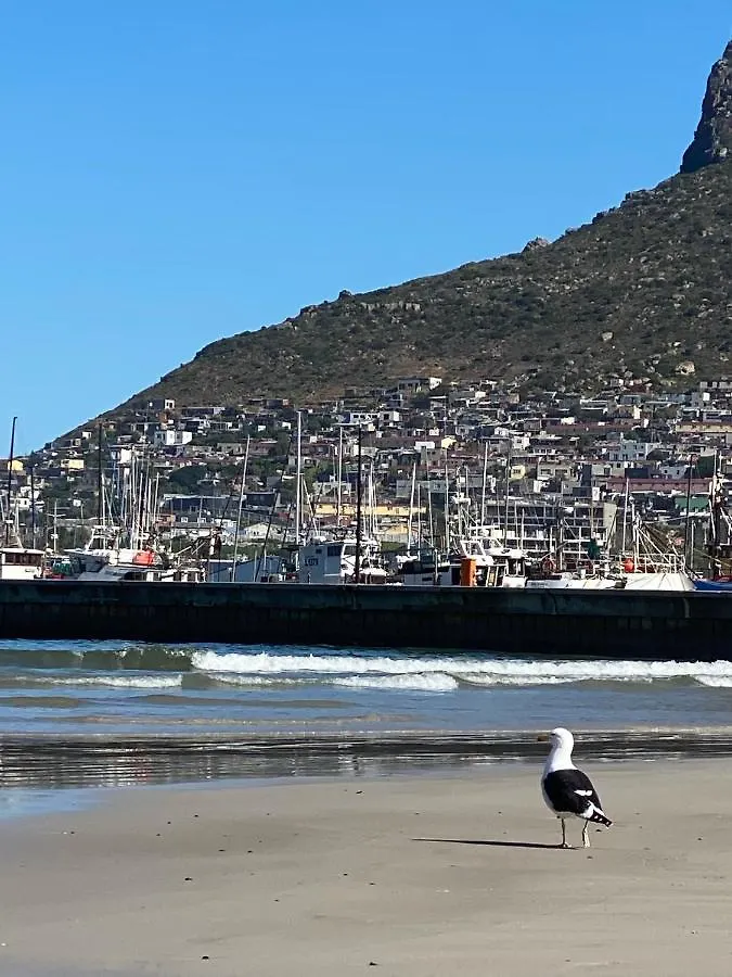 Best Place Ever Hout Bay 0*,  South Africa